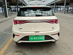 2025 BYD Dolphin Smart Driving 410km Fashion, белый — фото 6