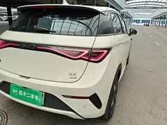 2025 BYD Dolphin Smart Driving 410km Fashion, белый — фото 8