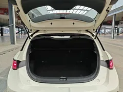 2025 BYD Dolphin Smart Driving 410km Fashion, белый — фото 19