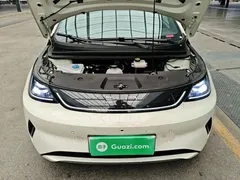 2025 BYD Dolphin Smart Driving 410km Fashion, белый — фото 20