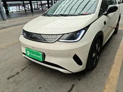 2025 BYD Dolphin Smart Driving 410km Fashion, белый — фото 24