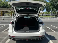 2021 Changan UNI-K 2.0T Premium, белый — фото 18
