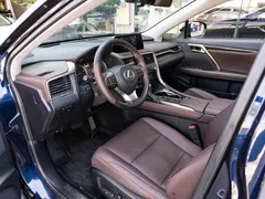 2020 Lexus RX 300 4WD Elegant, синий — фото 9