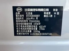 2024 BYD Song PLUS EV 520km Luxury Honor Edition, белый — фото 20