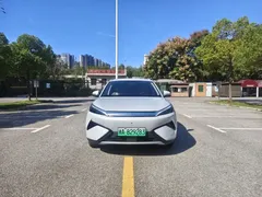 2025 BYD Yuan PLUS EV 510km Smart Driving Exceed, белый — фото 2