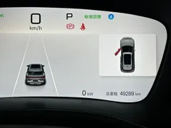 2024 BYD Song PLUS EV 520km Luxury Honor Edition — фото 13
