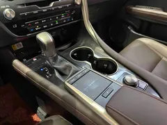 2020 Lexus RX 300 2WD Comfort — фото 18
