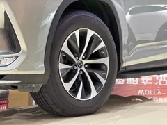 2020 Lexus RX 300 2WD Comfort — фото 22