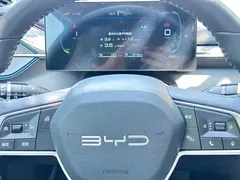 2024 BYD Destroyer 05 DM-i PHEV 55km Luxury, белый — фото 12