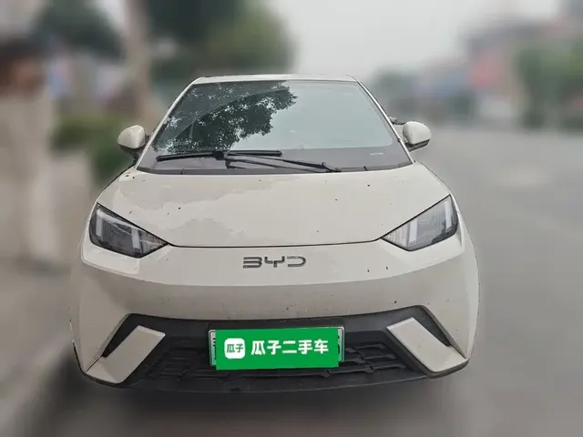 2025 BYD Seagull 305km Vitality