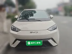 2025 BYD Seagull 305km Vitality, белый — фото 2