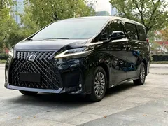 2020 Lexus LM 300h 4, чёрный — фото 1