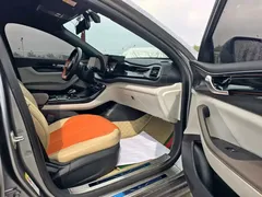 2023 BYD Qin PLUS Champion DM-i PHEV 55KM Leading — фото 9