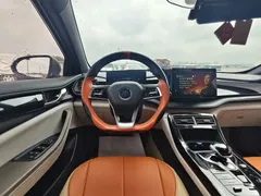 2023 BYD Qin PLUS Champion DM-i PHEV 55KM Leading — фото 14