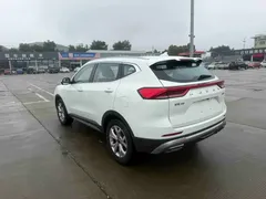 2021 Haval H6 1.5T AT Champion, белый — фото 11