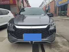 2023 BYD Song Pro Champion DM-i PHEV 110KM Excellence — фото 2