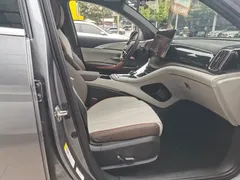 2023 BYD Song Pro Champion DM-i PHEV 110KM Excellence — фото 4