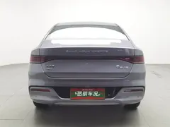 2023 BYD Qin PLUS Champion DM-i PHEV 55KM Leading — фото 4