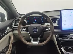 2023 BYD Qin PLUS Champion DM-i PHEV 55KM Leading — фото 11