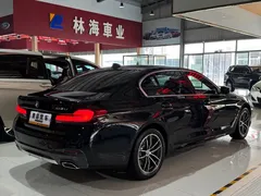 2022 BMW 5 Series 525Li M Sport Package, чёрный — фото 27