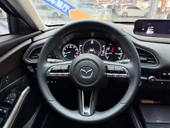2021 Mazda CX-30 2.0L AT — фото 20