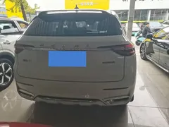 2021 Haval F7 1.5T 2WD, белый — фото 8