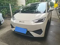 2025 BYD Seagull 305km Vitality — фото 1