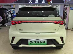 2025 BYD Dolphin 420km Freedom, белый — фото 15