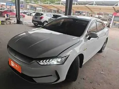 2024 BYD Qin PLUS Honor EV 510km Leading, белый — фото 1