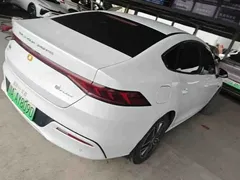 2024 BYD Qin PLUS Honor EV 510km Leading, белый — фото 5