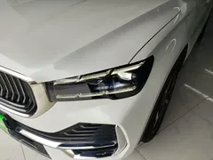 2021 Geely Monjaro 2.0TD DCT EVO 2WD Premium, белый — фото 24