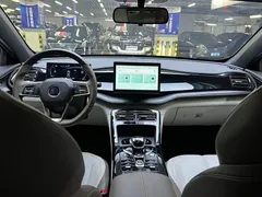 2024 BYD Qin PLUS Honor DM-i PHEV 55km Leading — фото 15