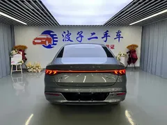2024 BYD Qin PLUS Honor DM-i PHEV 55km Leading — фото 19