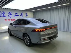 2024 BYD Qin PLUS Honor DM-i PHEV 55km Leading — фото 20