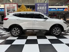 2021 Haval H6 1.5GDIT AT Champion, белый — фото 8