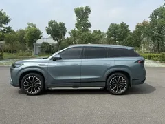 2023 Chery Tiggo 9 2.0T AT 2WD Luxury 5-seat, зелёный — фото 9