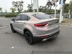 2020 Geely Tugella 260T, чёрный — фото 11
