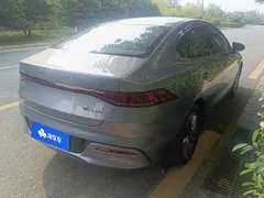 2024 BYD Qin PLUS Honor EV 510km Leading — фото 3