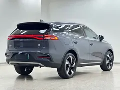 2023 BYD Tang DM-i PHEV Champion 112KM Premium — фото 6