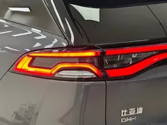 2023 BYD Tang DM-i PHEV Champion 112KM Premium — фото 9