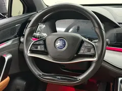 2023 BYD Tang DM-i PHEV Champion 112KM Premium — фото 22