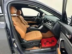 2023 BYD Tang DM-i PHEV Champion 112KM Premium — фото 28