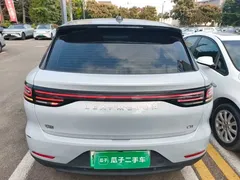 2023 Leapmotor C11 EV 500 Comfort — фото 6