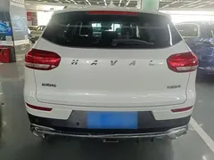 2021 Haval H6 1.5T AT Champion, белый — фото 6