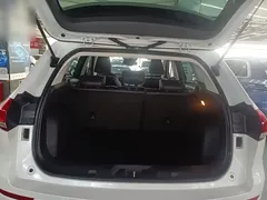 2021 Haval H6 1.5T AT Champion, белый — фото 19