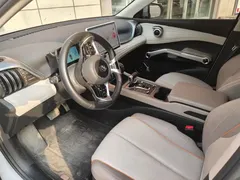 2024 BYD Yuan PLUS Honor 510KM Leading, белый — фото 6