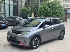 2023 BYD Dolphin 420km Fashion — фото 1