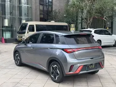 2023 BYD Dolphin 420km Fashion — фото 9