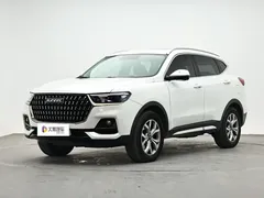 2021 Haval H6 1.5GDIT AT Guochao Champion, белый — фото 1
