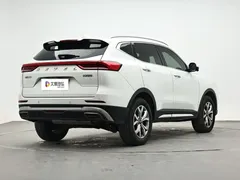 2021 Haval H6 1.5GDIT AT Guochao Champion, белый — фото 3